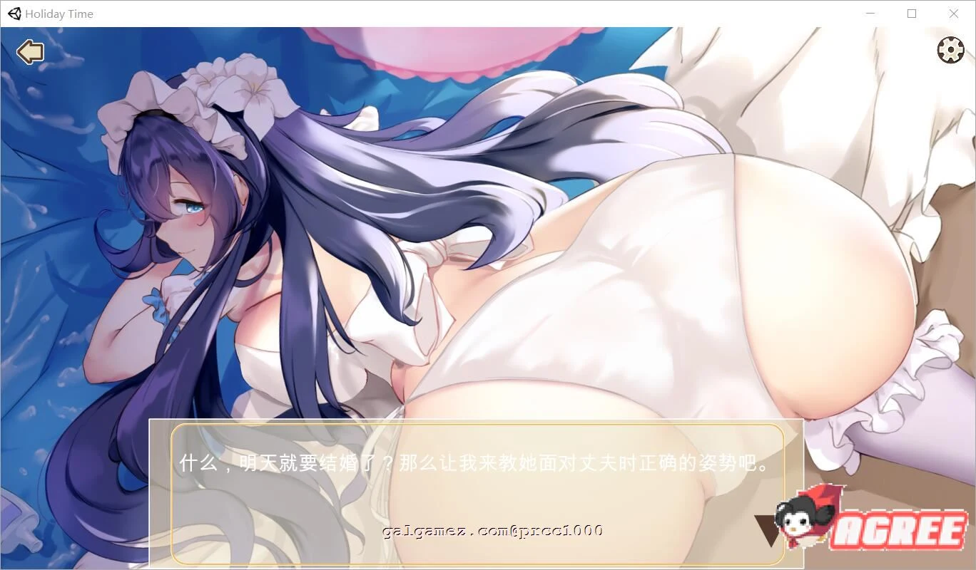 假日时光 Holiday-Time 官方中文步兵版 [全动态] {350M新作/全CV}