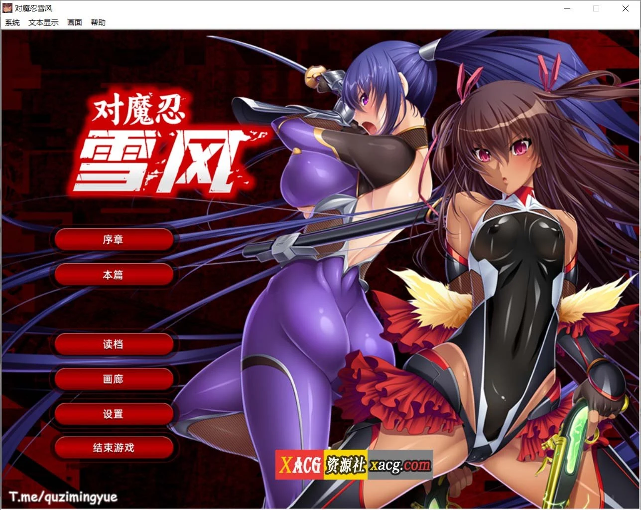 对魔忍雪风 官中全动态ADV [Steam官方中文版/2G] 佳作