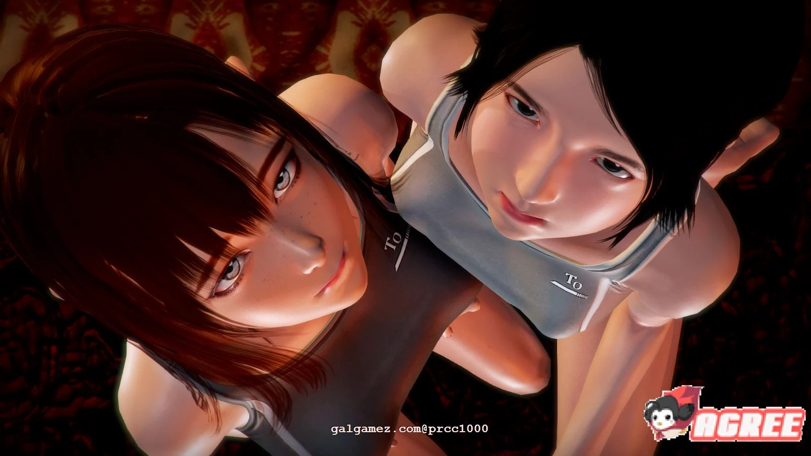 昏暗之声~Noise V0.40 官方中文完整版 [大型RPG/步兵/情感纠葛] 4.7G