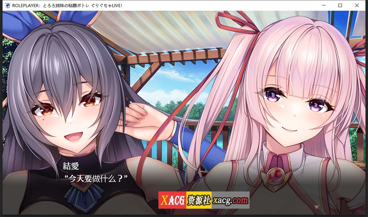 ROLEPLAYER：山药姐妹的互动游戏 精翻汉化版+全CG档【新汉化/4.4G】（神级SLG/汉化/动态）