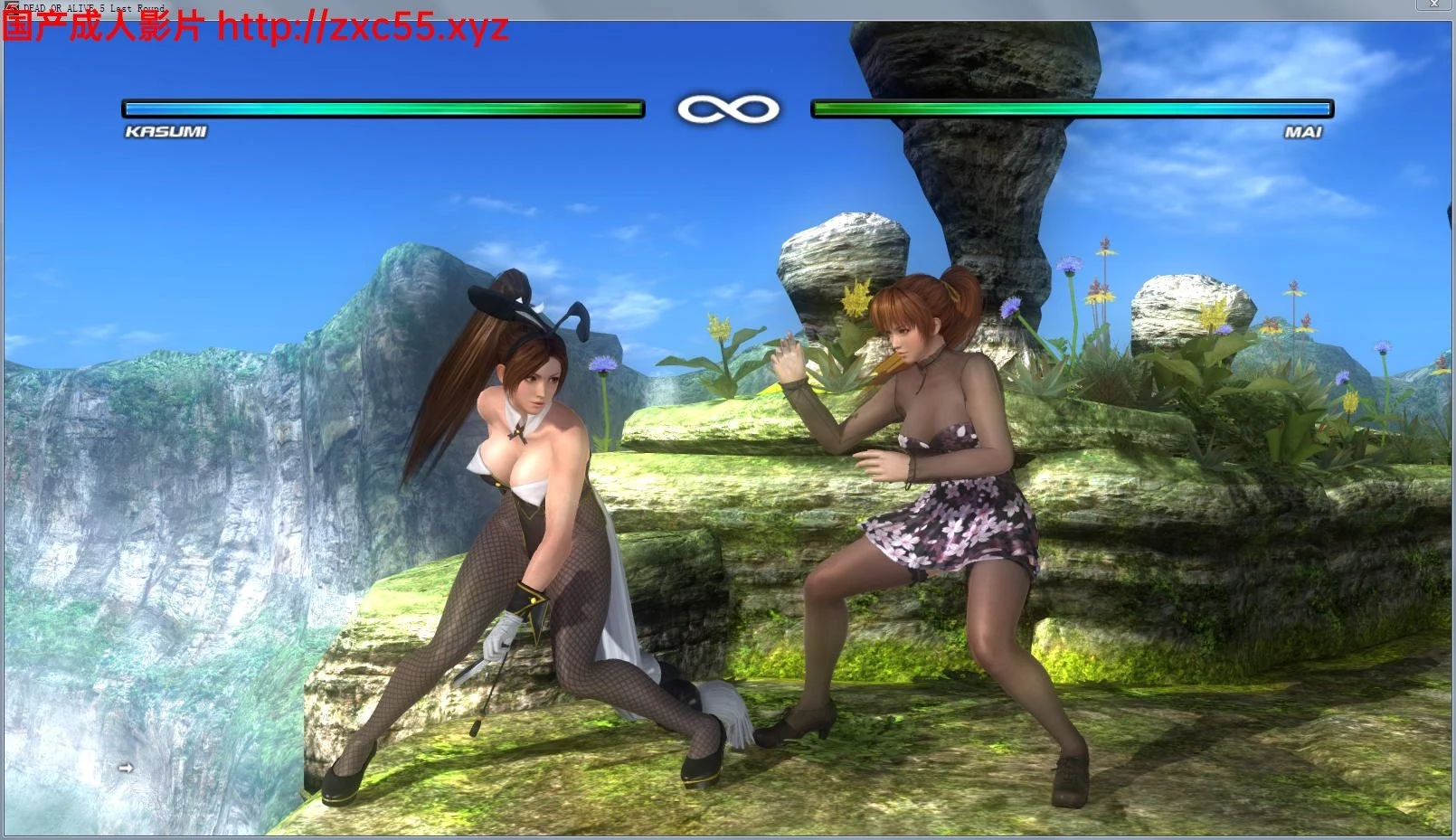 死或生5:最后一战 完全皇帝版+DLC+绅士魔改服装CG动画+原版终极整合【13G】 畅玩游戏 预览第2张-XACG动漫资源社——中文ACG动漫游戏社区