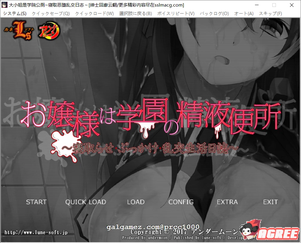 大小姐学院情感观察日记【云翻汉化/ADV/1G】