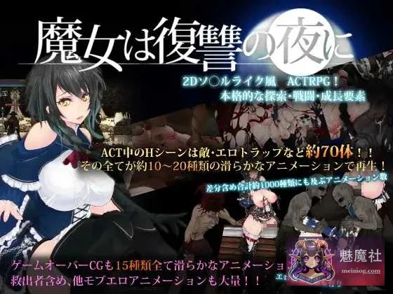 魔女复仇之夜 [PC/ACT/汉化/动态/步兵版 V1.07 魔改mod+作弊] 微云直链下载 魔女は復讐の夜に